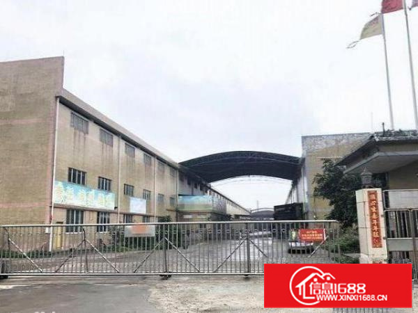 容桂朝阳厂房970平带办公室装修出租