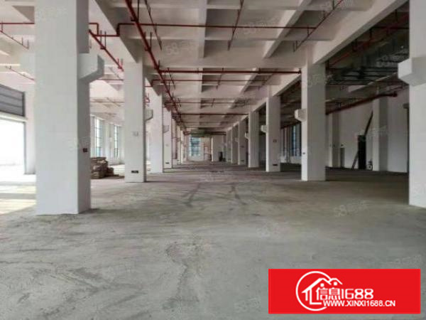 主干路边原房东独门独院标准三层厂房工业用地喷淋消防