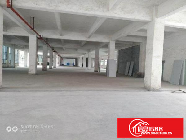 惠阳独门独院标准厂房4800带红本