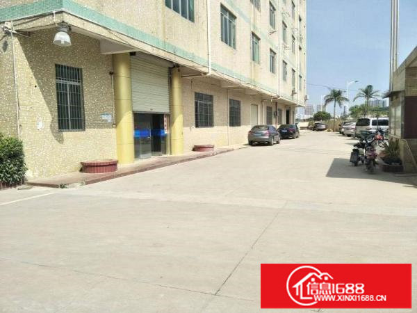 坪山六联社区新出独院标准厂房800平带精装修