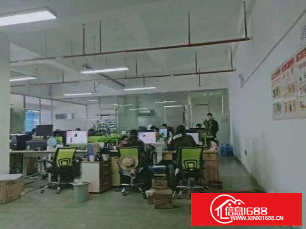 金富园区1到3层独院共4500平米出租可分层租