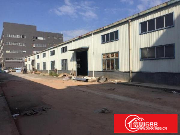 清溪三中原房东独院单一层滴水8米高钢构厂房1300平急租