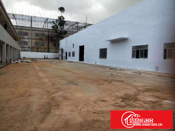 清溪全新单一层原房东厂房招租，钢结构厂房10000平方出租