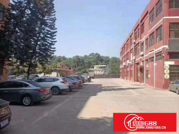 常平工业区新出一楼5600平方，楼层高6米，二楼2000平