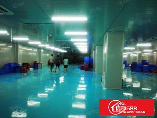 塘厦科苑城楼上1000平方适合电商加工