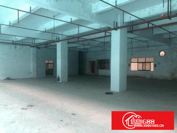 庄村一楼1500平13米挂车可进，可分租，产证齐全