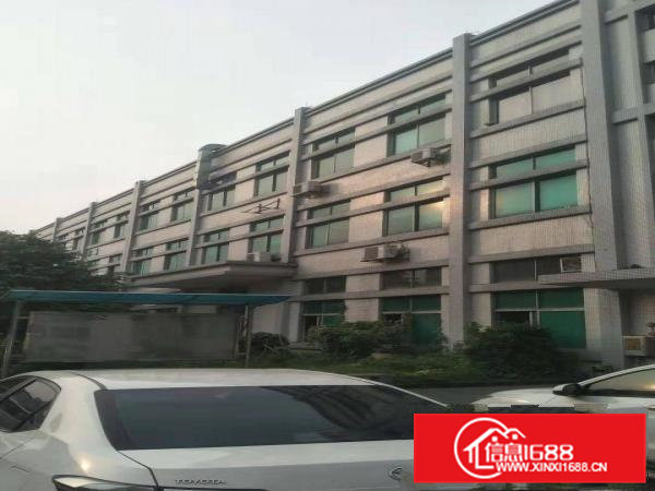 企石镇新出原房东超靓标准厂房实量面积5500平，超大空地