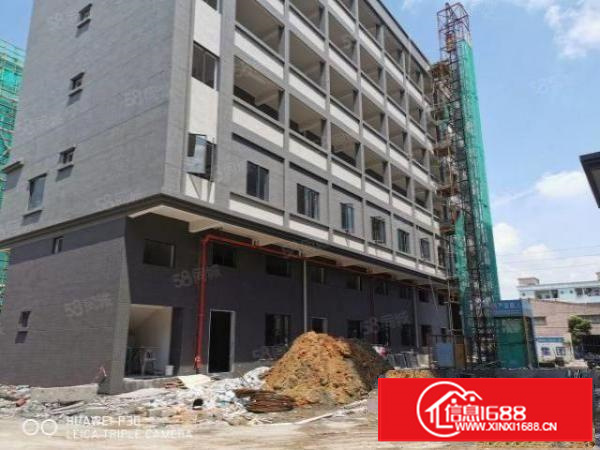 原房东一楼9米高带牛腿独门独院厂房出租工业用地环评包过