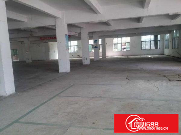 袁山贝招租一楼厂房1600平方形象好可分租