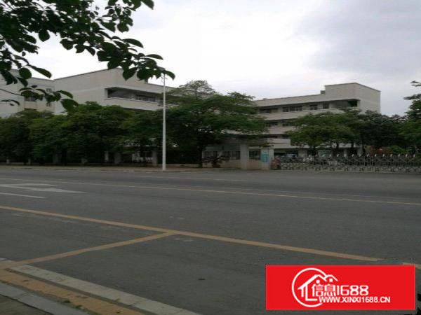 高埗镇高龙路旁厂房400平米交通便利