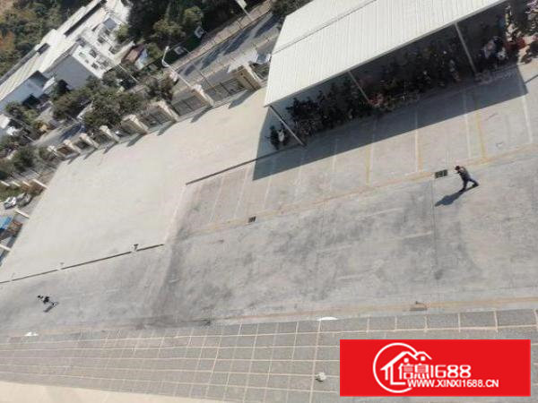 凤岗碧湖大道边整层3600平米双电梯九成新厂房形象好空地大