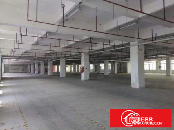 单价28租龙华清湖观澜交界整层厂房