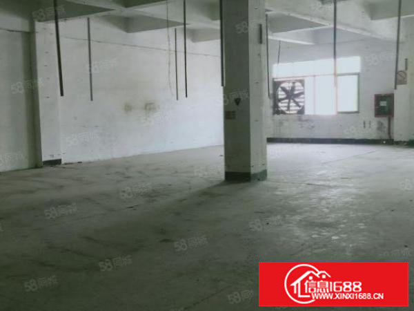 松岗红星工业区新出带办公室装修700平厂房出租