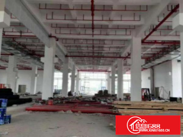 高埗标准一楼1000㎡厂房招租！带牛角，现成办公室