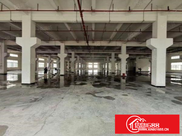 标准厂房500起租,一二楼可分租