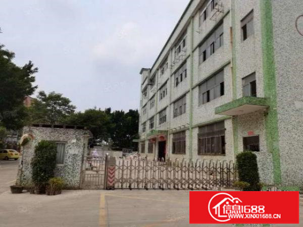 大浪（原房东）一楼800平米招租