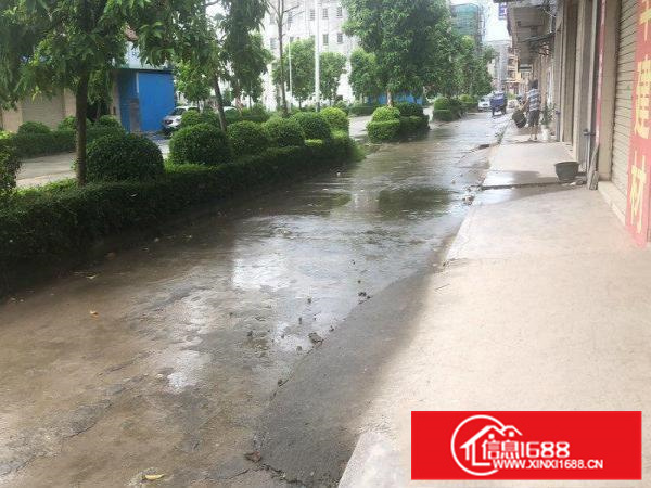 石湾单一层小独栋厂房出租，租金实惠，交通便利