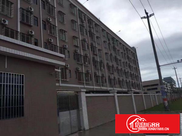 大工业区分租500平800平1200平厂房