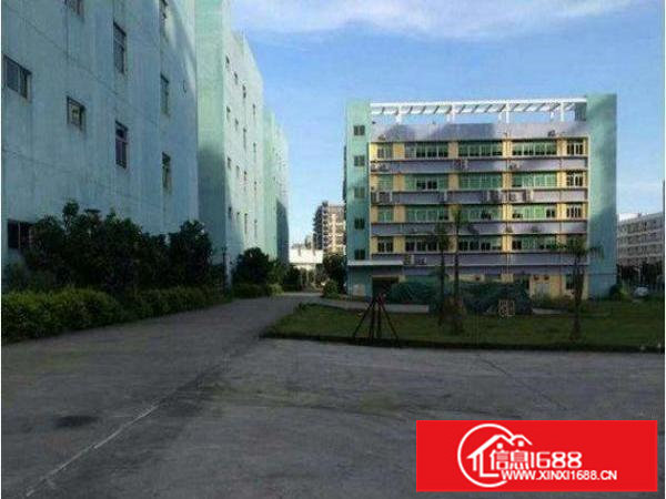 平湖良安一楼1000平米带豪华装修厂房招租