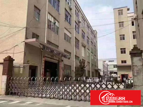 惠阳新墟附近新出一楼810平方招租整租带装修消防喷淋