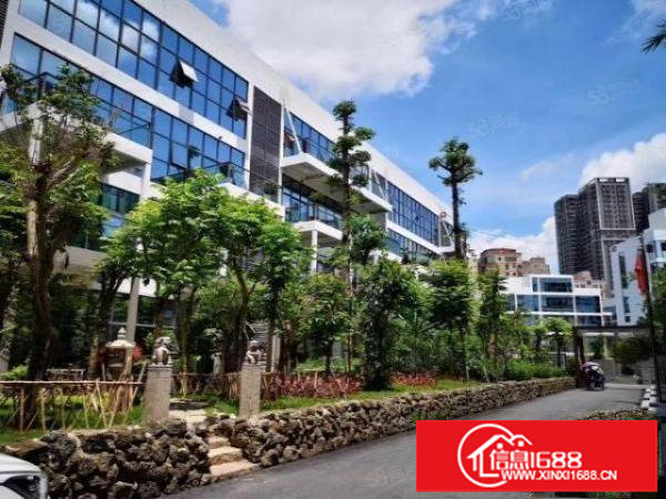 龙岗中心龙岗大道旁新出独院红本办公楼9100平商业消防可分租