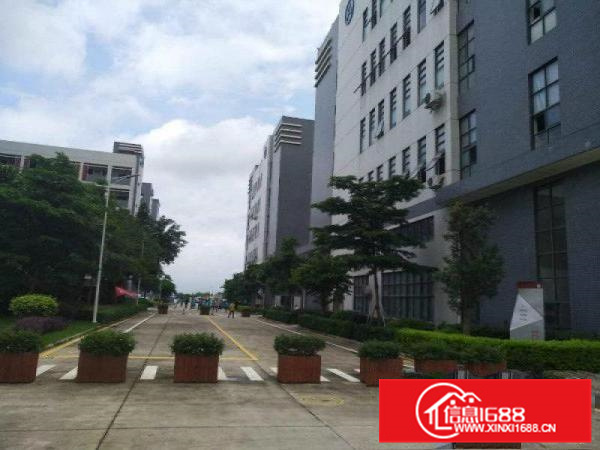 惠州市三栋镇新建10万平方标准厂房出租