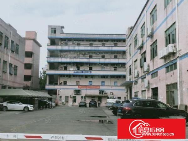 松岗红星工业区新出带办公室装修700平厂房出租