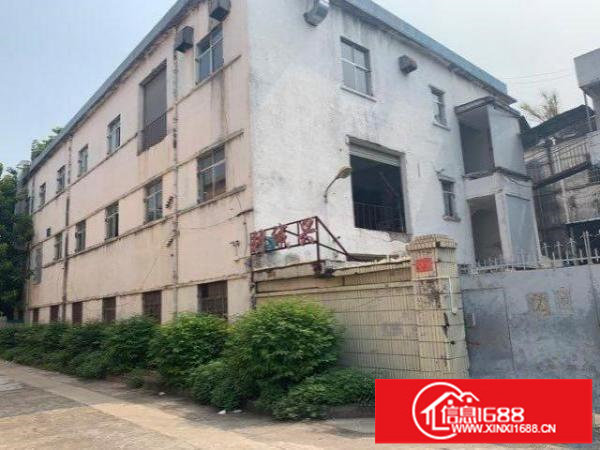 位于深汕路主干道边，每层500平米，交通便利，独门独院