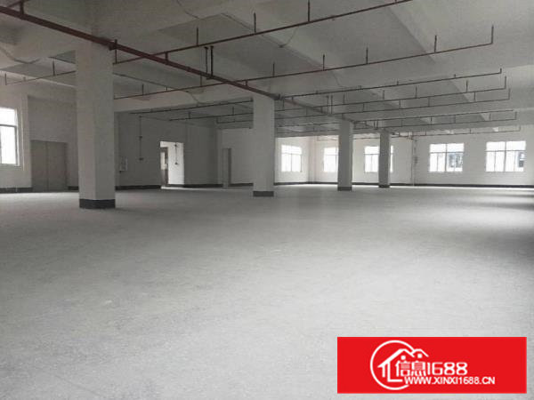 清溪九乡一楼厂房1200平分租600平带装修，有环评