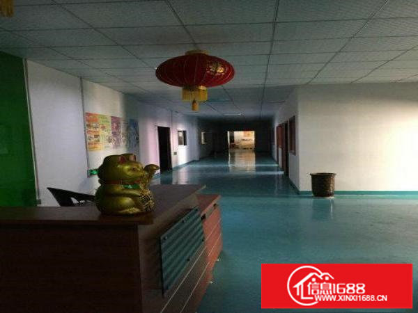 大浪新百丽工业园500~800~2800平厂房出租