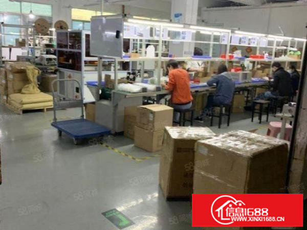 松岗大田洋新出750平厂房，带精装修，水电齐全