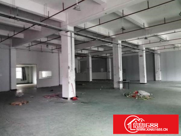 龙岗荷坳原房东独院标准厂房整栋1065平米起出租