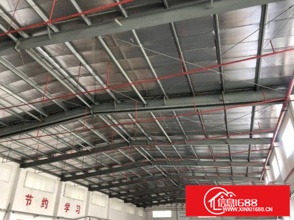 茶山寒溪水新出单一层厂房2500平，钢结构有办公室出租