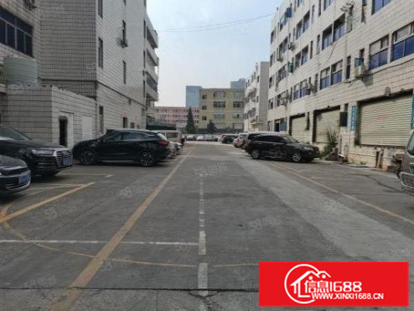 龙岗龙东楼上500平原房东标准厂房招租