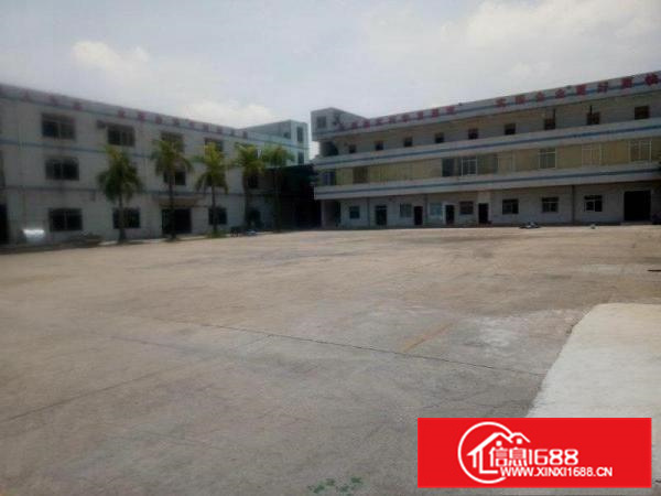 周末特惠出租！新墟长布工业区独院厂房，空地大