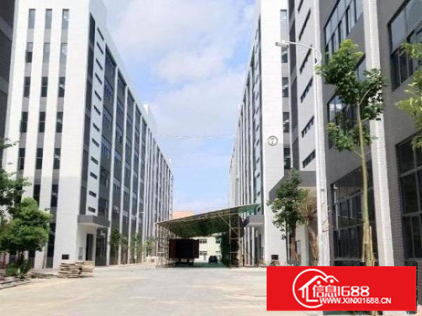 桥头新出形象好，独院厂房