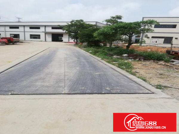 惠东白花钢构厂房14000，500起租大小可分