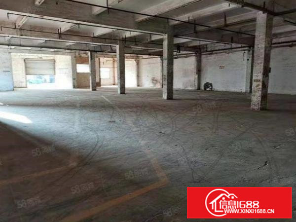 新塘尾盘特价出租，科技园内一楼1150方标准厂房特价出租