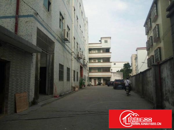 龙东独立院厂房3400平方米，配套宿舍1200平方