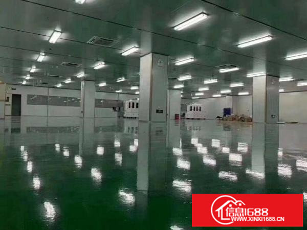 同乐新出楼上实际面积1800平带豪华装修带红本