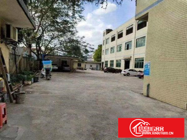 树田工业区无公摊办公室原房东独院标准厂房招租600平方