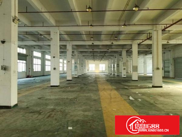 原房东出租6米高标准一楼带现成办公室装修1500平方