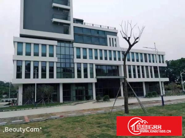 长安镇沙头29000平工业园厂房出租电商仓库出租一楼楼上分租