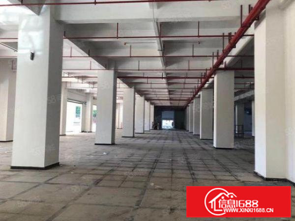 全新工业园空地非常大，近高速