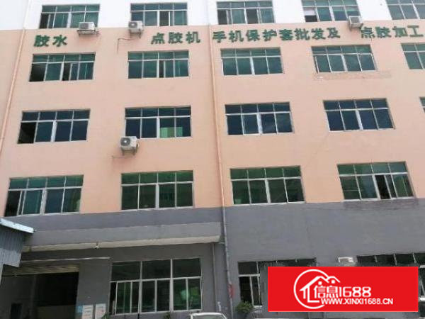 原房东，精装修，带豪华办公室