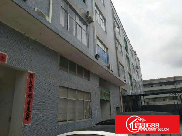 秋长维布原房东6000平厂房出租，白菜价13元