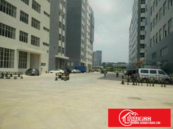 带补贴一一低碳园全新厂房1000平起招租一整租便宜