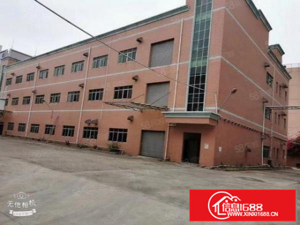 大小可分租常平陈屋贝原房东独院3层9000平厂房仓库出租