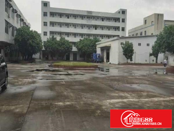 石碣横滘一手房东分租标准独院厂房一楼400平方，无公摊！