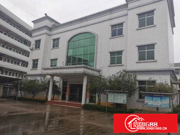 寮步镇花园式标准厂房出租大小可分租独立办公楼空地大